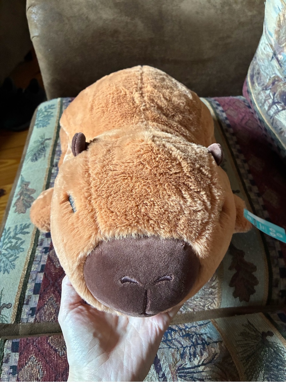 NWT Brown Capybara Huggable Plush Stuffed Animal
